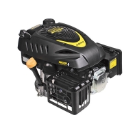 Двигатель CHAMPION G250HK